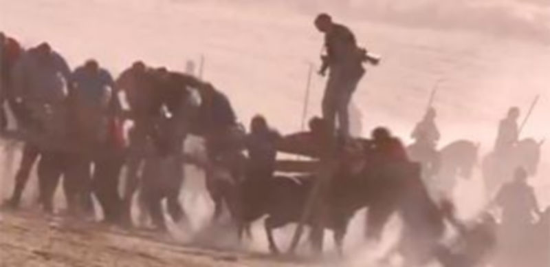 Imagen de Castilla y León TV en la que se aprecia a Juan Martín cuando el toro embiste la talanquera en la que esta ba subido. / CYLTV