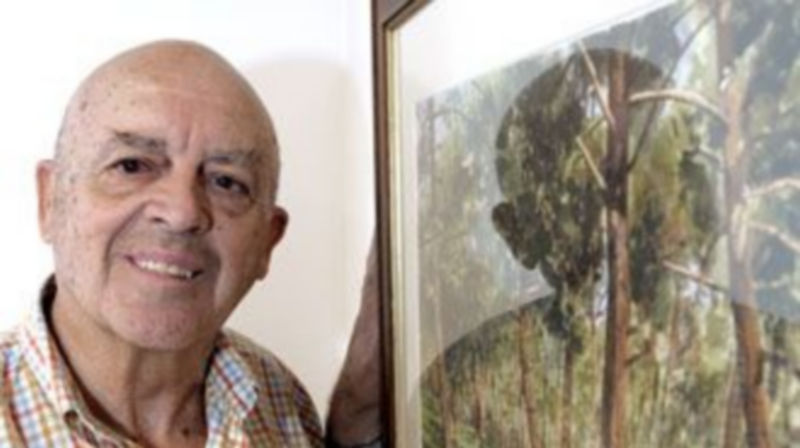 El pintor segoviano Alfonso Castro