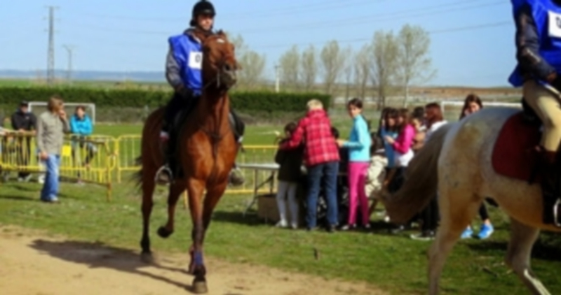 Afición hípica del Nordeste al galope 1 /EL ADELANTADO