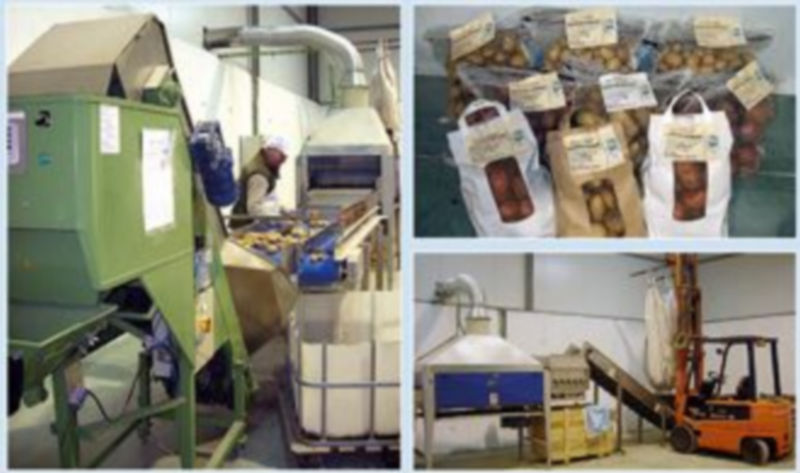 Diversos momentos del manejo de las patatas que produce con criterios ecológicos la empresa agrícola de Lastras de Cuéllar