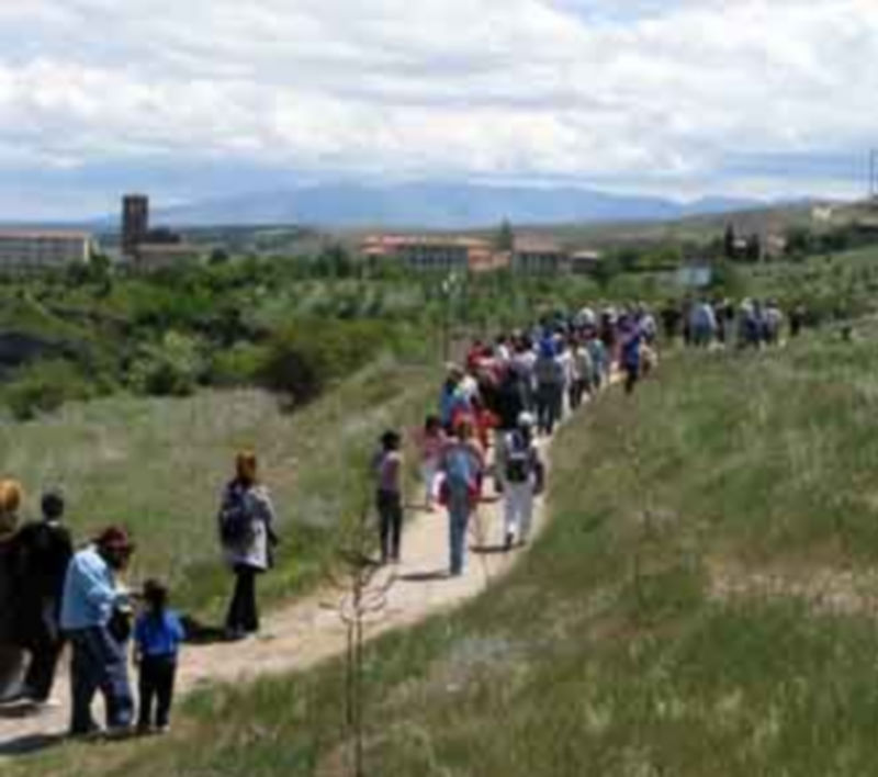 Los participantes participaron además en diferentes actividades. / El Adelantado
