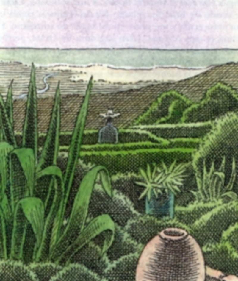 ‘Atardecer en Rouhouna’