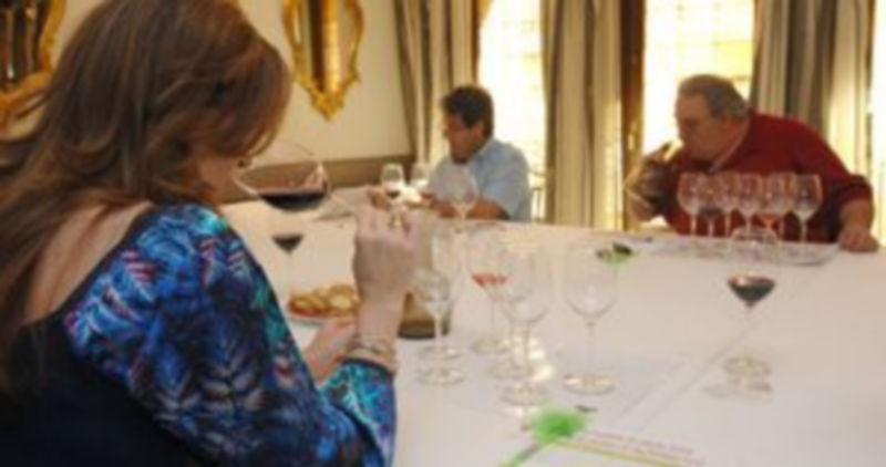 Vino de Valtiendas presenta la añada 2009 1 Un momento de la cata celebrada en La Floresta.