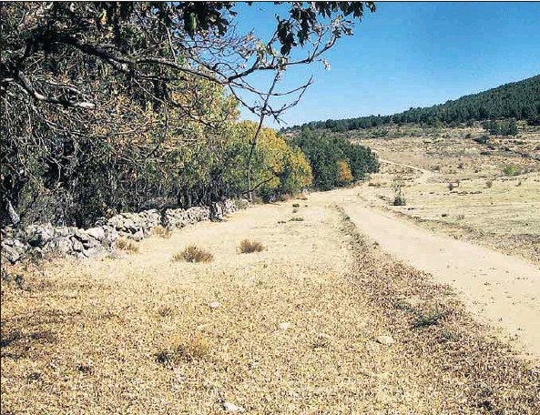Vista del ‘Camino Natural de la Sierra de Guadarrama’, de 145 kilómetros, que viene a coincidir con la Cañada Real Soriana Occidental./ EL A