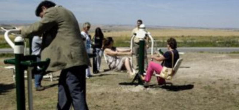 ./ CRIS MURO DE ZARO