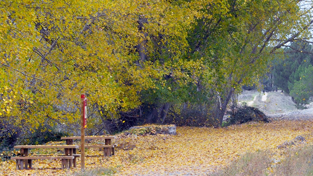 Naturaleza en Segovia. Otoño