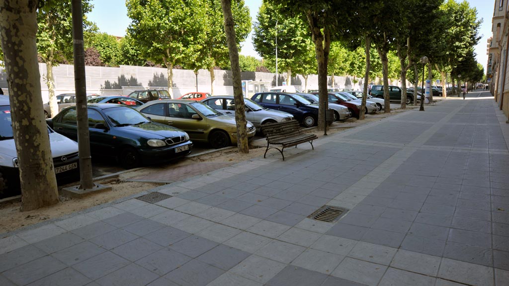 Avenida-Constitucion-Calle-Dehesa