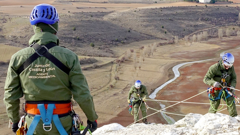 Los agentes medioambientales, durante la operación. / E.A.