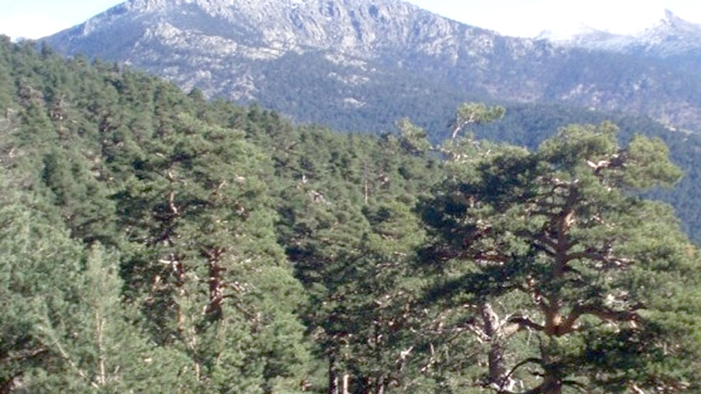 Vista de la Sierra de Guadarrama. / E.A.