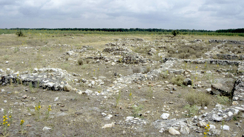 Paraje de la Villa Romana de Santa Lucía en Aguilafuente, donde aparecieron los mosaicos. / fermín de los reyes