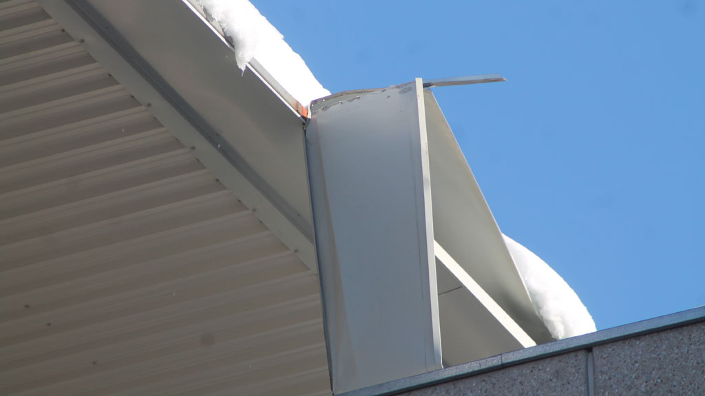 11_1marce-uva-cornisa