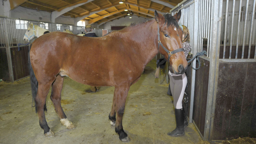 13_1kama-centro-ecuestre