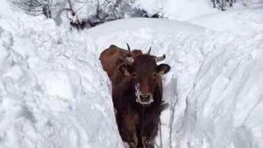 Imagen falsamente difundida como de Alquité o Arcones. / E.A.