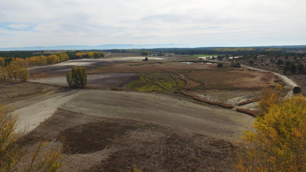 Vista panorámica alrededor de la laguna del Carrizal. / el adelantado