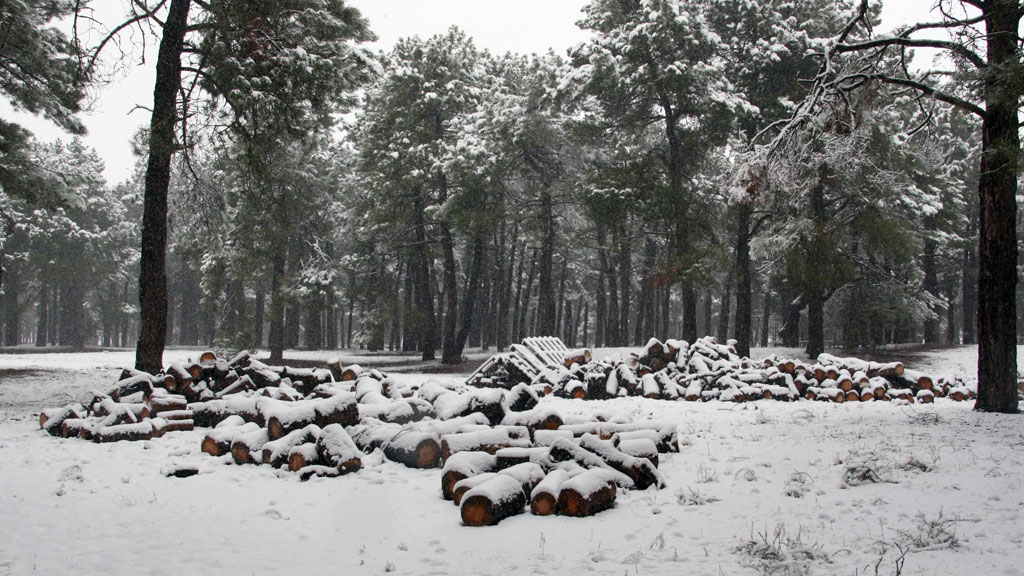 La leña que permitirá hacer las hogueras a los moteros también se ha cubierto de nieve estos días. / el adelantado