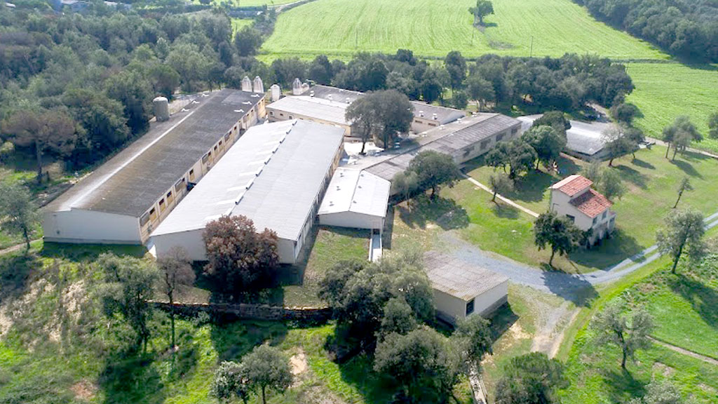 No todas las naves agrícolas y ganaderas se utilizan de forma continua ni a pleno rendimiento, según Asaja. / e. A.