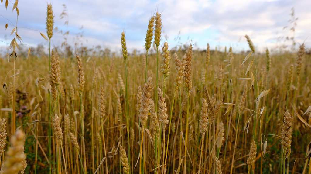 La elevada siniestralidad de 2017 ha impulsado ahora los seguros. / E. A.