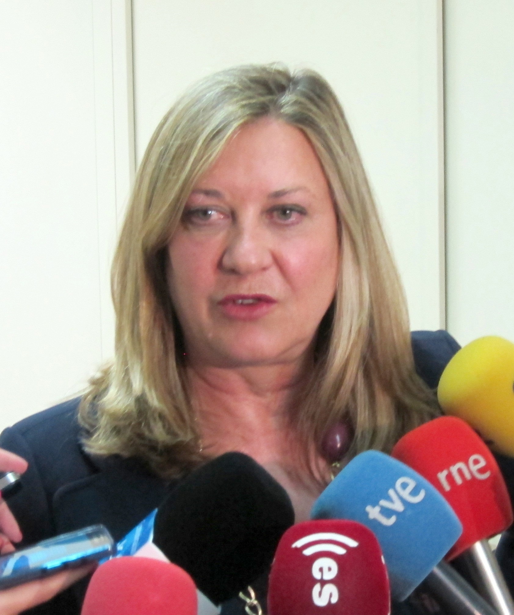 La consejera de Economía y Hacienda de la Junta, Pilar del Olmo. / e.p.