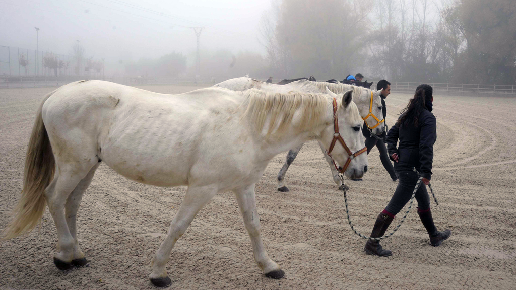 8_1kama-centro-ecuestre