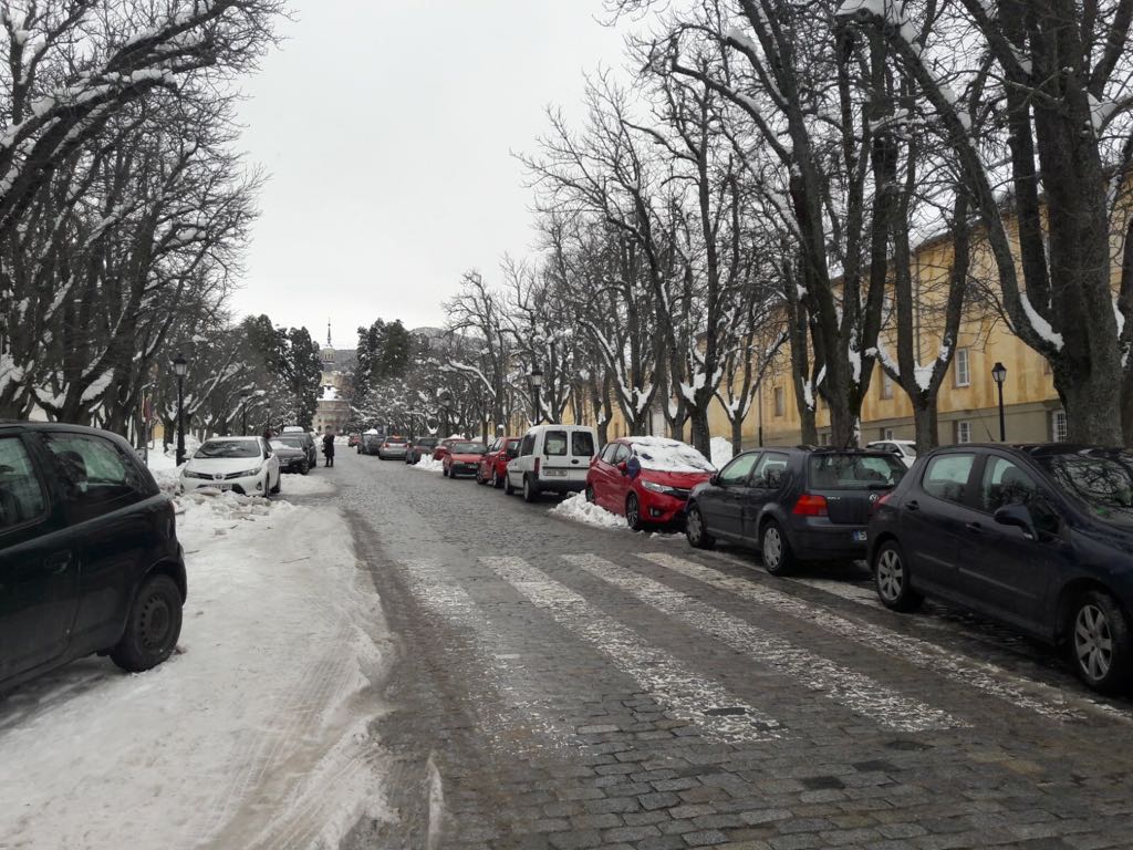 El Real Sitio de San Ildefonso está volviendo a la normalidad tras la nevada gracias sufrida gracias al trabajo de voluntarios, funcionarios y vecinos.