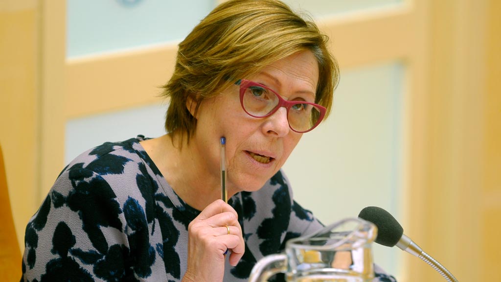 Ayuntamiento-Pleno-Marisa-Delgado_KAM6172