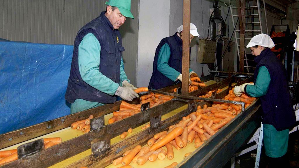 La industria agroalimentaria es la materia del curso que se desarrollará en el Carracillo./ juan martín