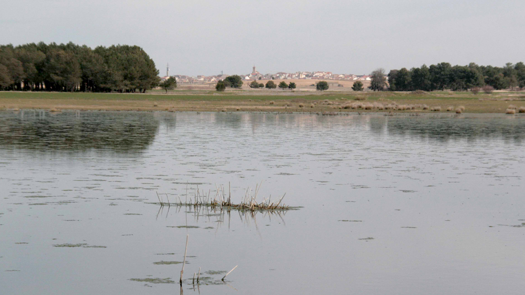 Laguna de Sotillos Bajeros. / E.A.