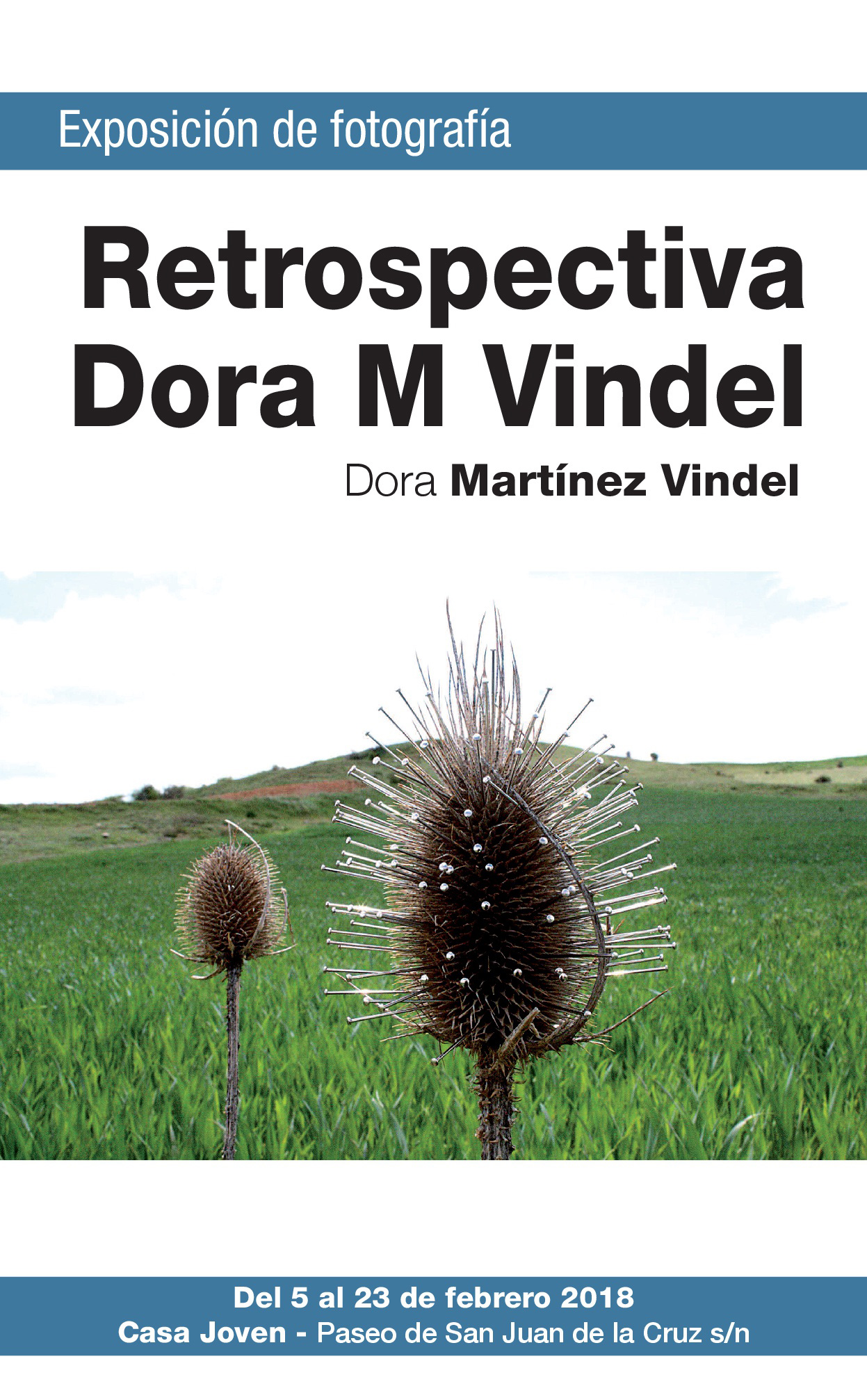 expo-casa-joven-Mindel