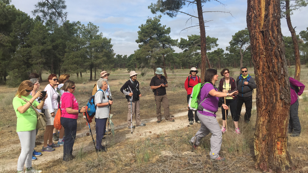Una anterior ruta por Tierra de Pinares. / E.A.