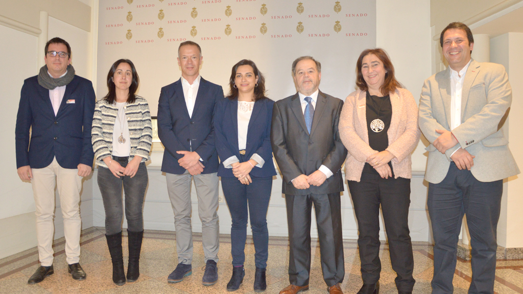 La corporación arropó a Montes en el Senado. / E.A.