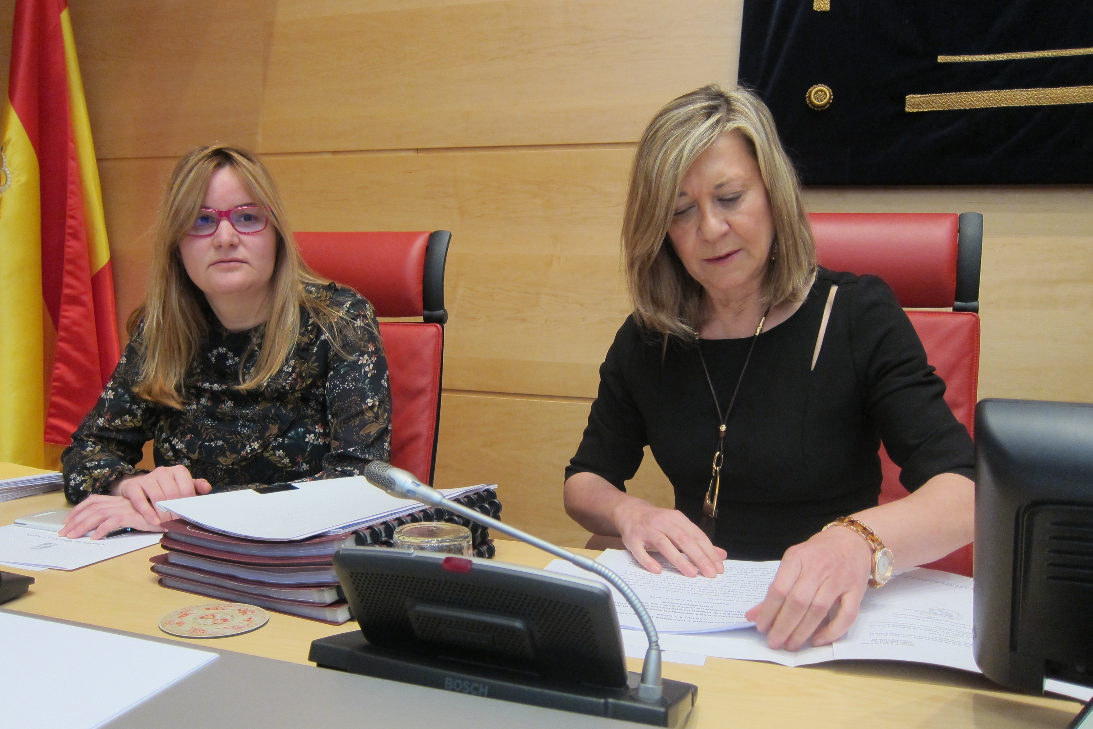 La consejera de Economía y Hacienda de la Junta de Castilla y León, Pilar del Olmo, en una rueda de prensa.