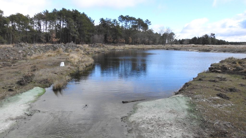 Laguna de Garroberos, recuperada recientemente. / G. Herrero