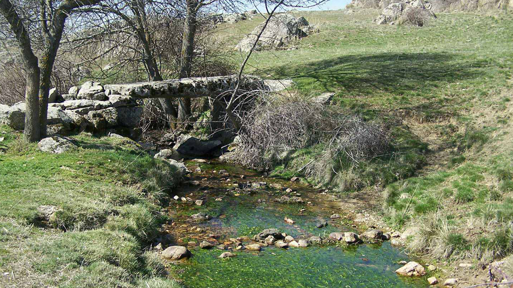 Vista del río Ciguiñuela, aguas arriba de la ciudad de Segovia. Una cola del embalse quedaría cerca de Cabanillas del Monte y la otra de Trescasas. / juan martín