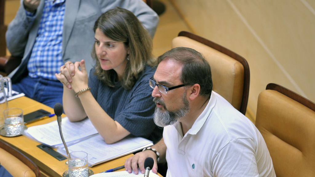 UPyD critica la aprobación “por decreto” del Plan Anual del Ayuntamiento 1 upyd