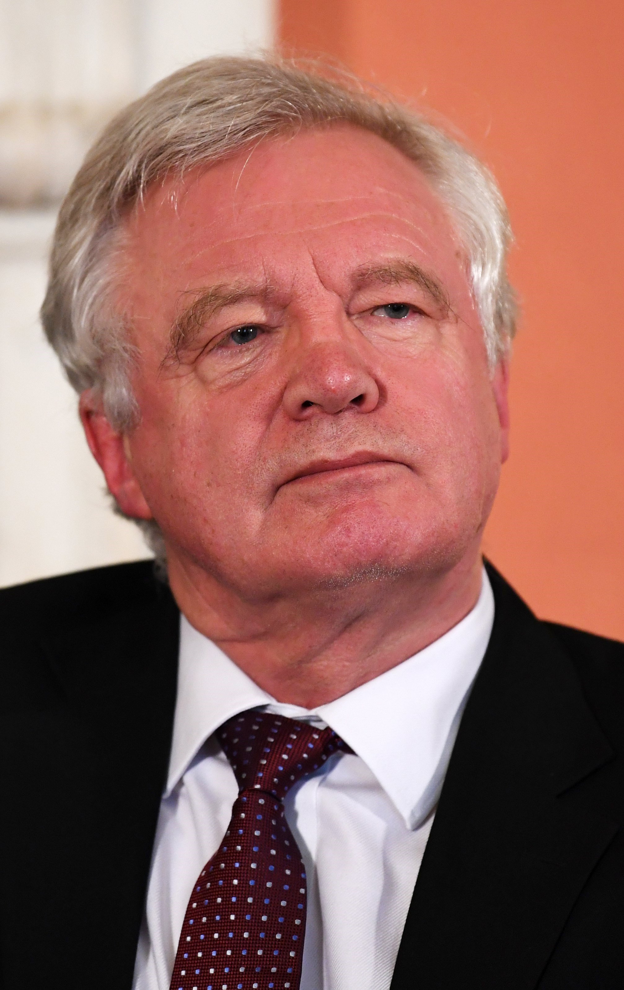 El ministro para la salida del Reino Unido de la Unión Europea, David Davis. / EFE