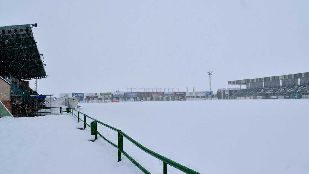 dep1_1campo-rociopardos