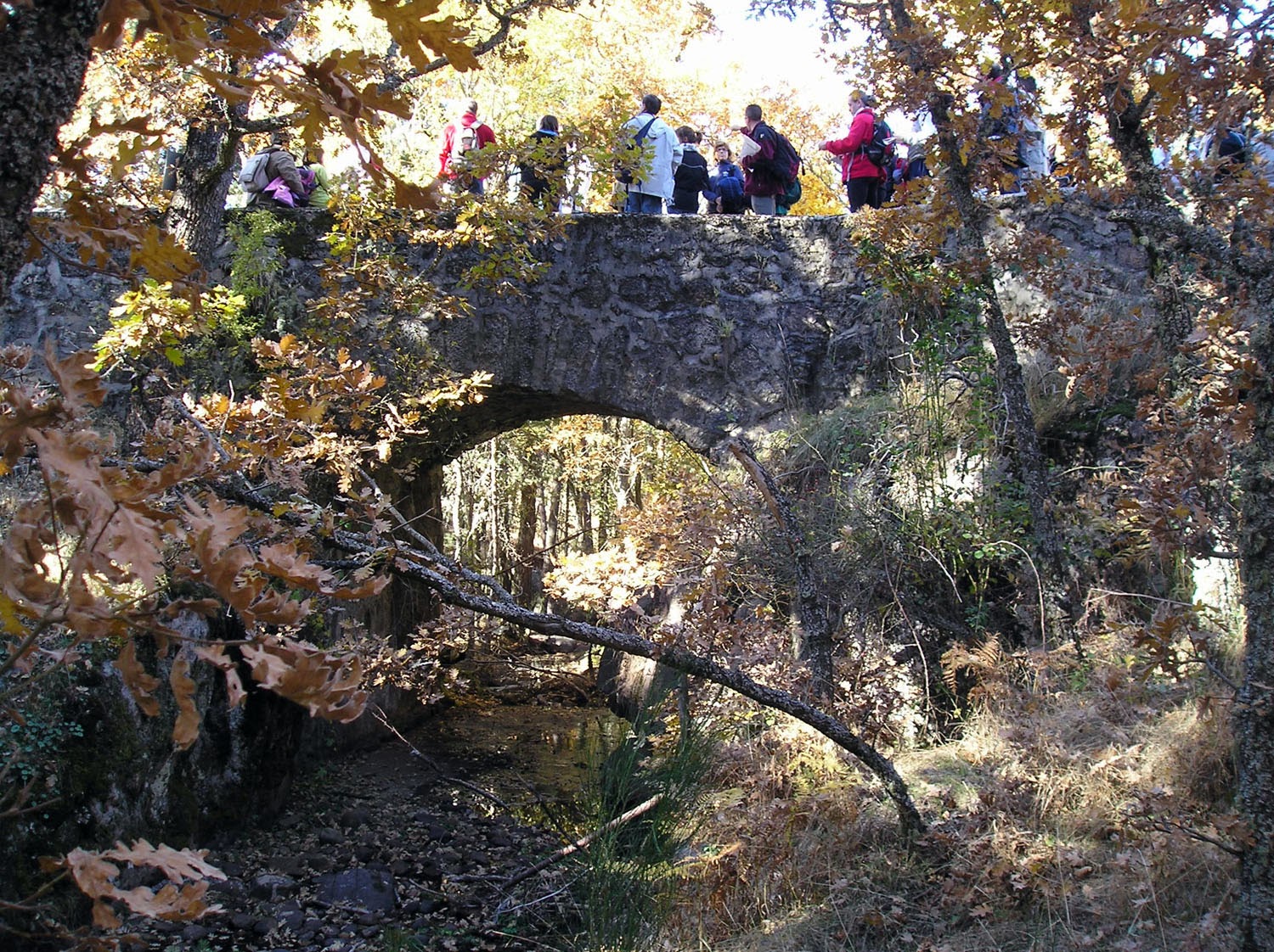 Imagen de archivo de un paseo por las Pesquerías Reales. /