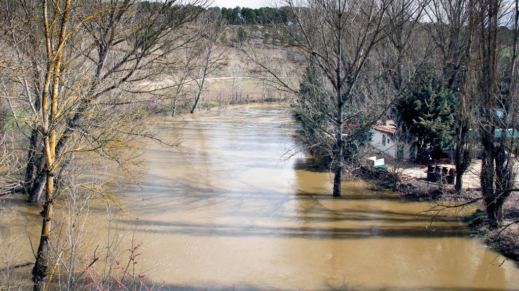 El río Eresma, ayer, a su paso por la localidad de Coca. /NEREA LLORENTE