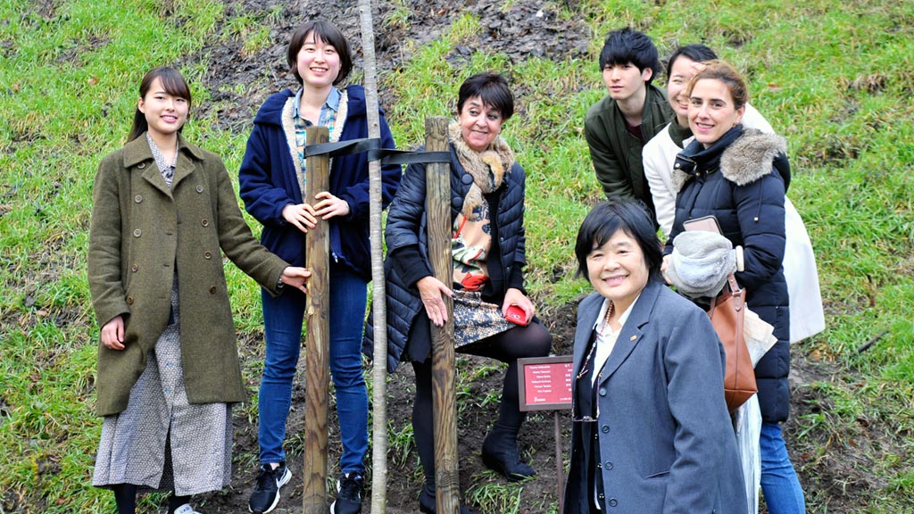 Plantacion-Sakuras-Alumnos-Japoneses