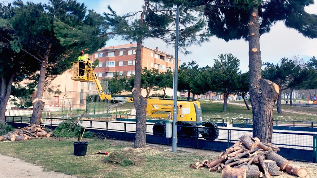 tala-arboles-parque-reloj-nueva-segovia