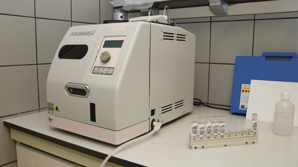 11_1nerea-cancer-colon