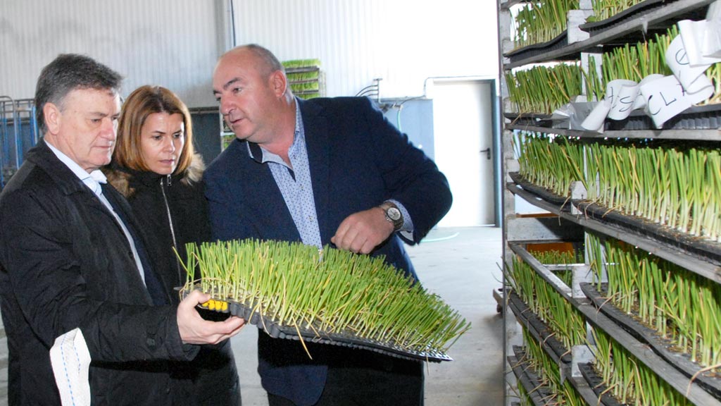 Renovado el convenio para mantener la calidad del puerro y la zanahoria 1 13-1-Convenio-Diputacion-Asoprofit