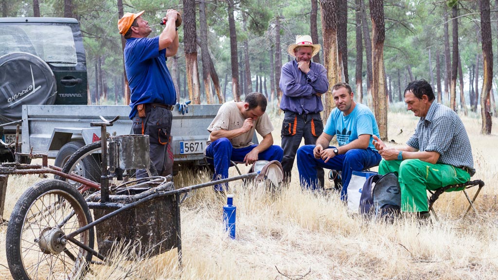 ‘Itinera’ acerca exposiciones de pintura o fotografía a la provincia 1 Una de las imágenes de ‘La vuelta de los resineros’. / el adelantado