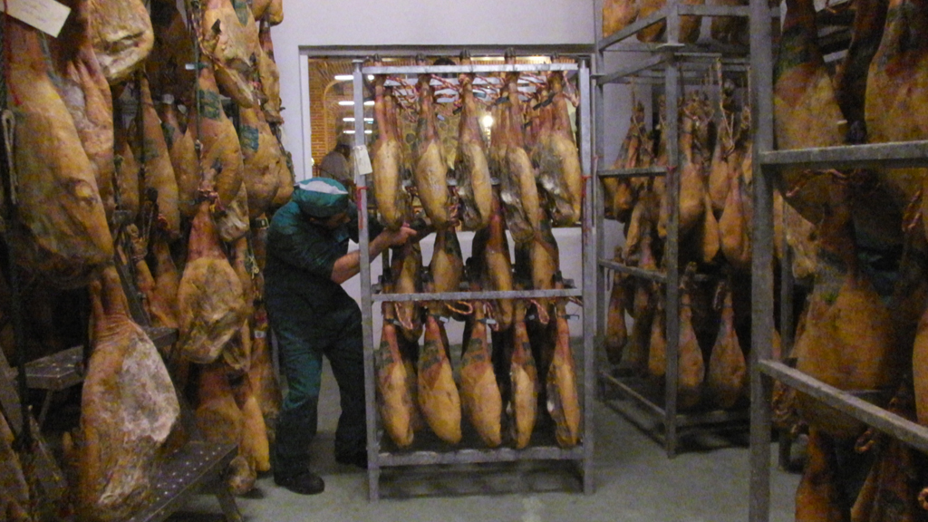 17_1-diputacion-empleo