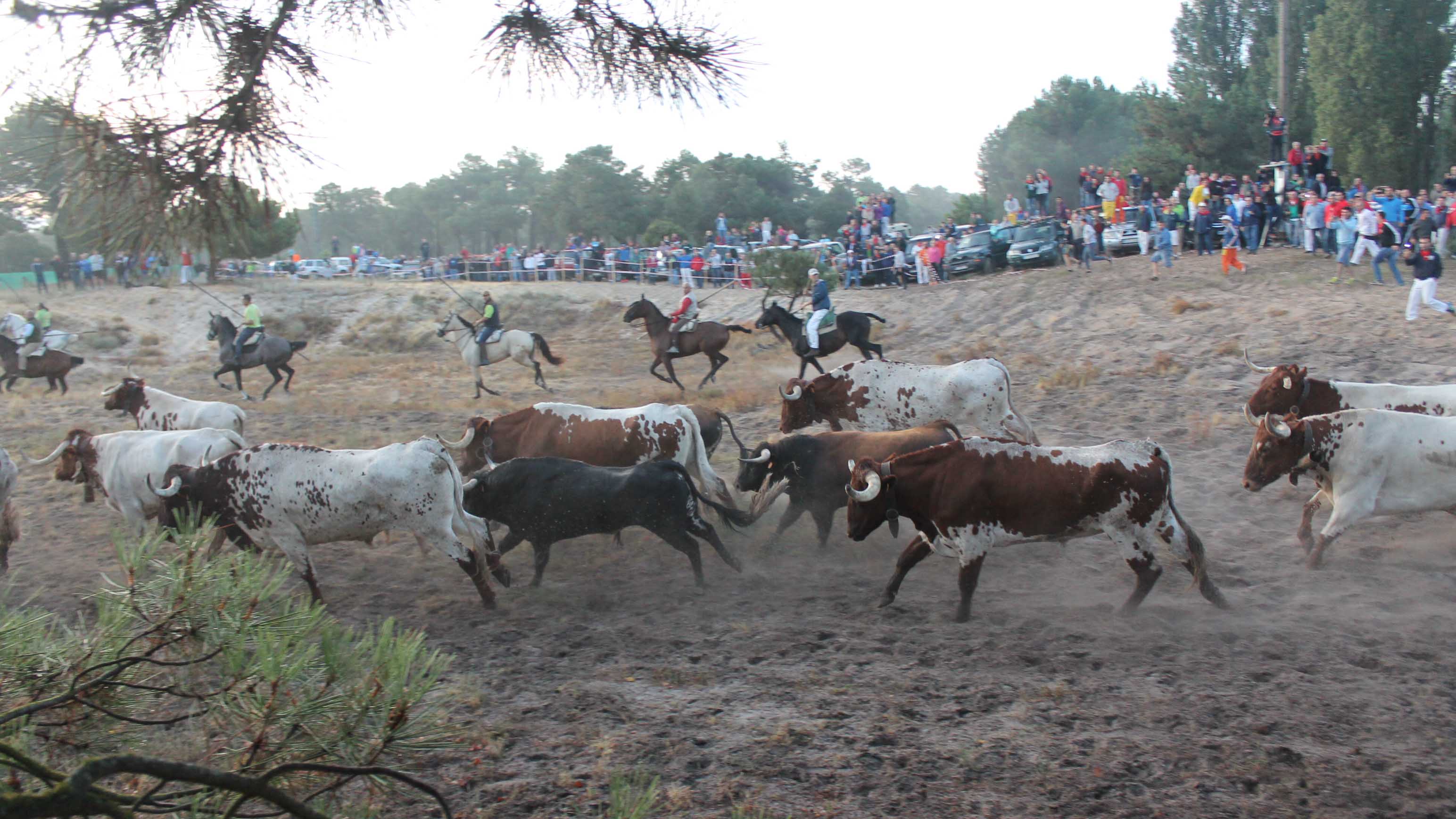 2. encierro martes web