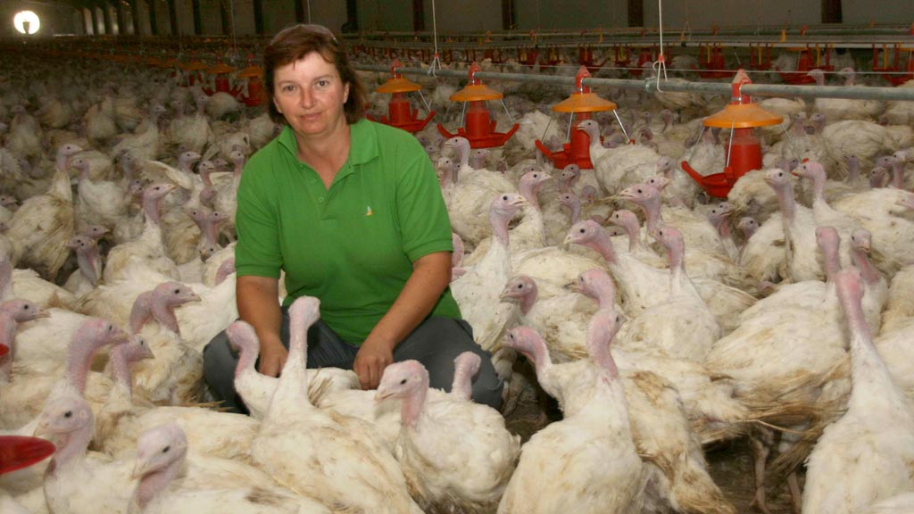 22-1-mujer-mundo-agrario