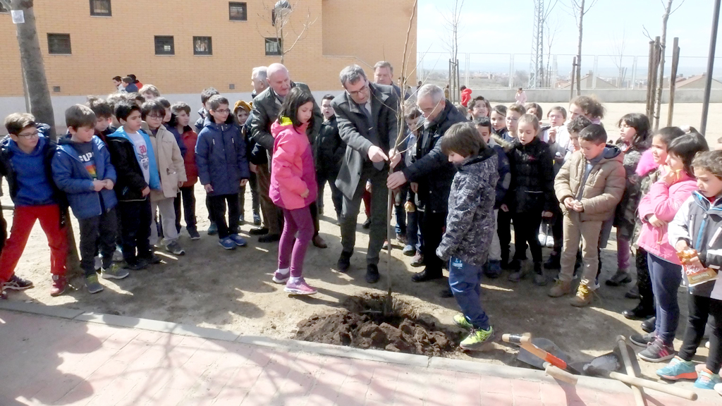 Plantación de árboles en el colegio de La Lastrilla. / E.A.