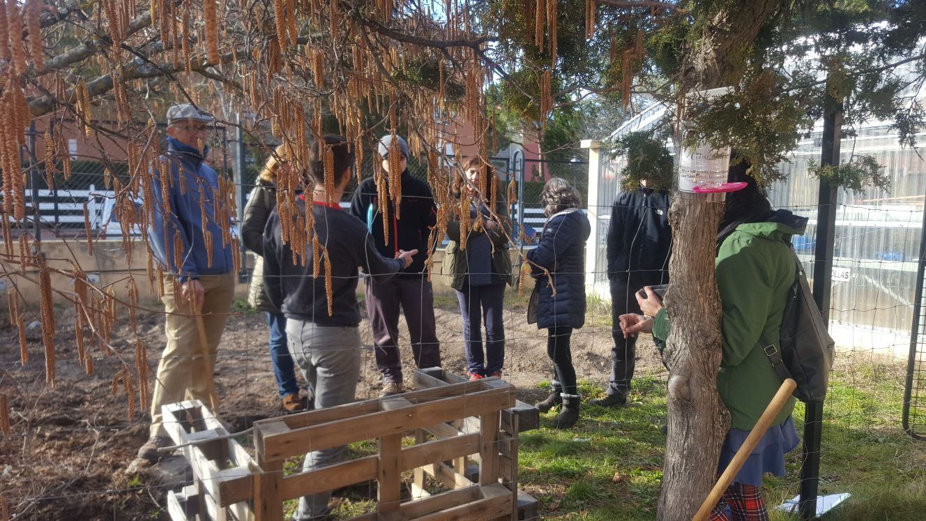 Profesores de la provincia en el invernadero del colegio granjeño.