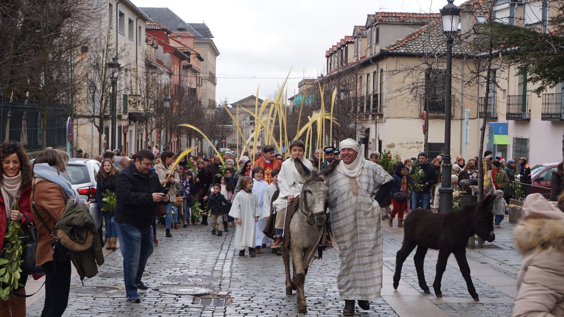 Procesión del Domingo de Ramos en La Granja.