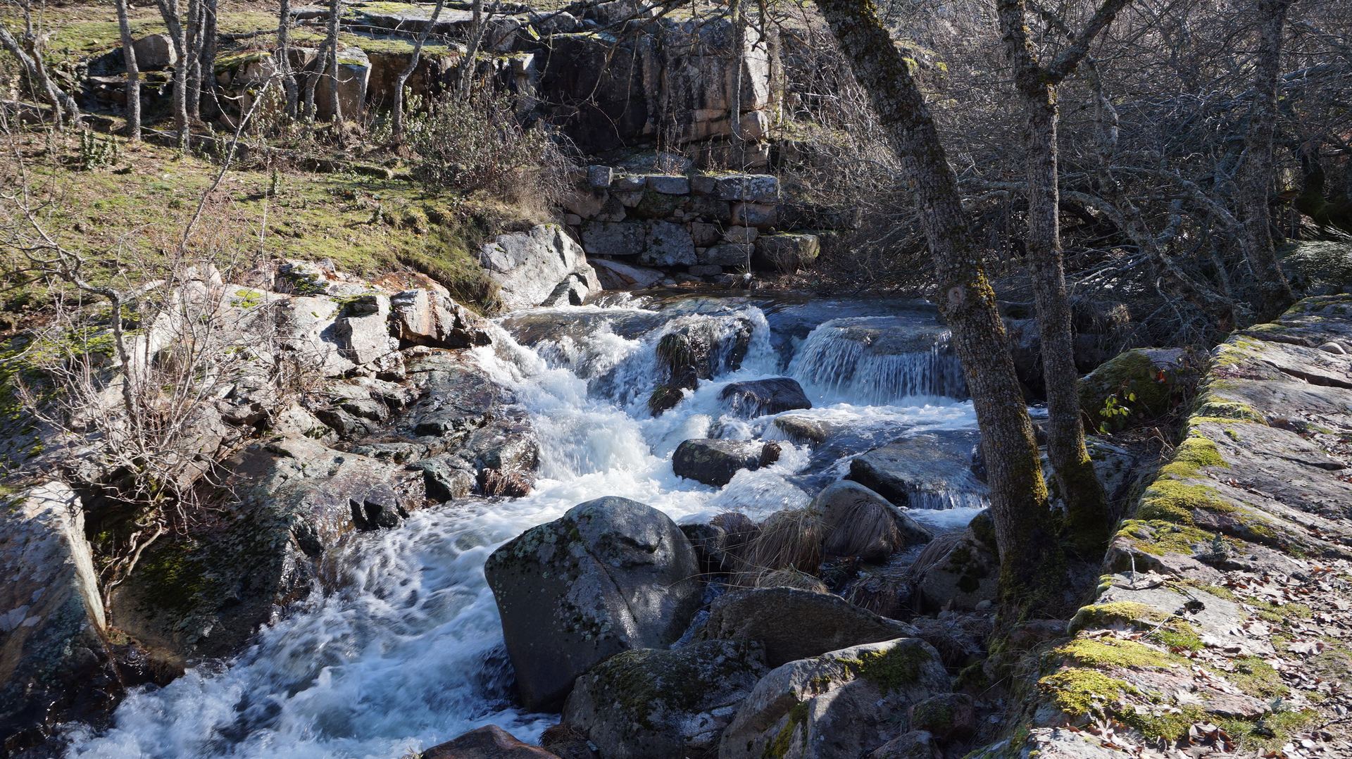 El río Eresma es uno de los protagonistas en gran parte de las excursiones que se organizan.